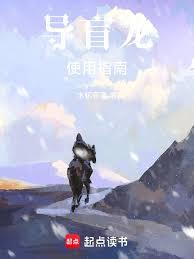 ��ä��ʹ��ָ��